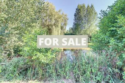 Property For Sale