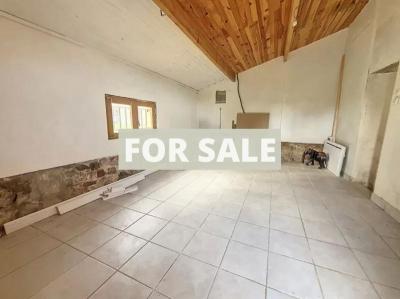 Detached Country House with Garden