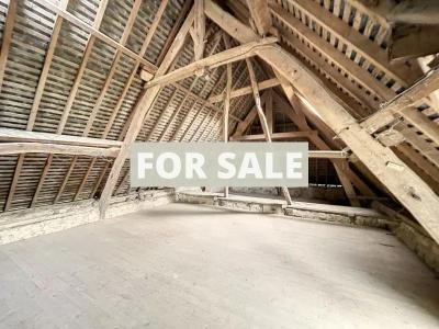 Vast Country House with Outbuildings