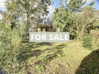 Detached House with Garden