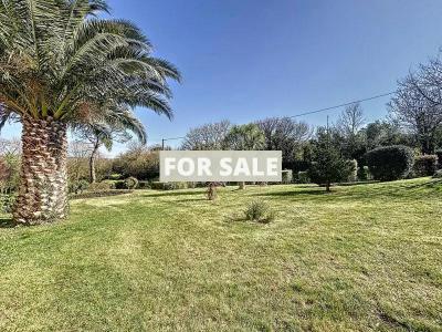 Detached House with Home Cinema and LovelyGarden