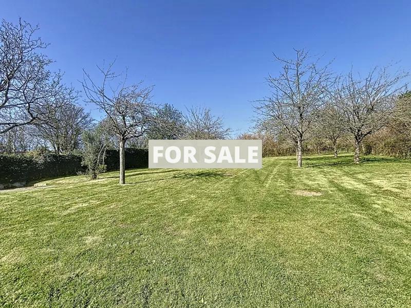Detached House with Home Cinema and LovelyGarden