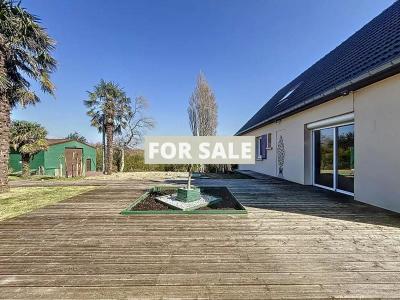 Detached House with Home Cinema and LovelyGarden
