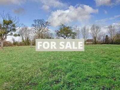 Detached Country House with Garden