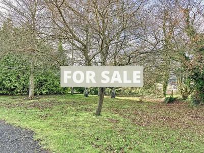 Detached Country House with Garden