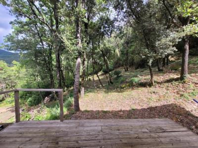 Charming Stone Farmhouse With Lots of Land