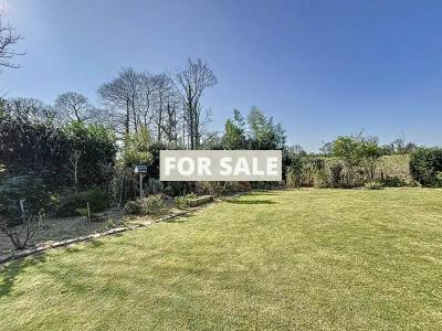 Contemporary Detached House with Garden