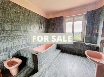Huge Property with Outbuilding, Lot of Options