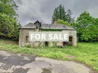 Huge Property with Outbuilding, Lot of Options