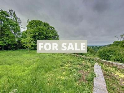 Huge Property with Outbuilding, Lot of Options