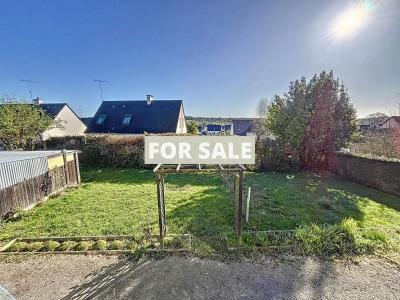 Detached House with Garden