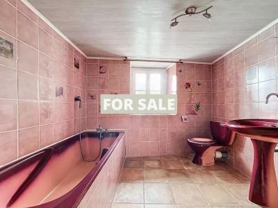 Detached Country House with Outbuilding