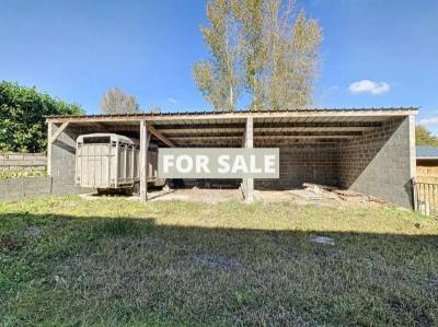 Two Country House with Outbuildings and Land