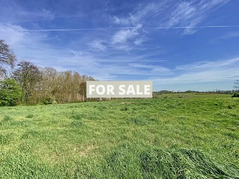 Two Country House with Outbuildings and Land