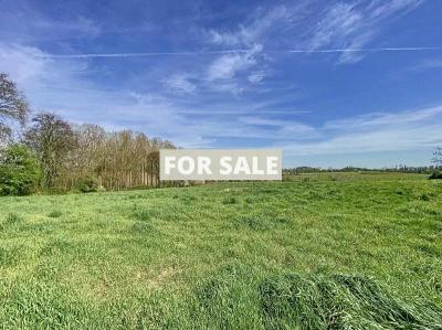 Two Country House with Outbuildings and Land