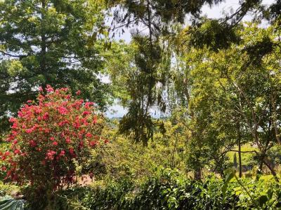 Farmhouse with Guest House, Pool & Mountain Views