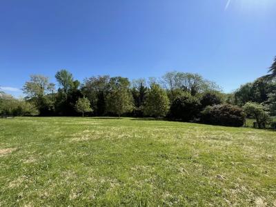 A Wonderful Opportunity for Luxury Living