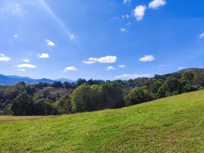 Country Home With Magnificent Views To The Pyrenees Mountains With Garden And Pool