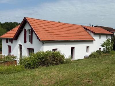 Fully Renovated House With Terrace And Garden