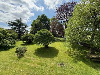Beautiful Detached House with Lovely Garden