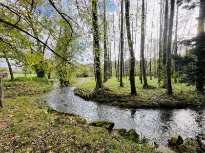 Beautiful Renovated Farmhouse With Attached Barns And Stunning Gardens