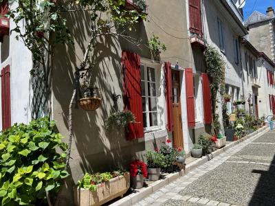 Beautiful and Luxurious Town House