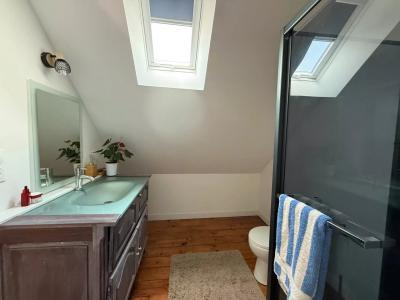 Fully Renovated House With Terrace And Garden