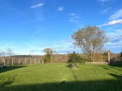 Spacious Detached House With Guest Gite