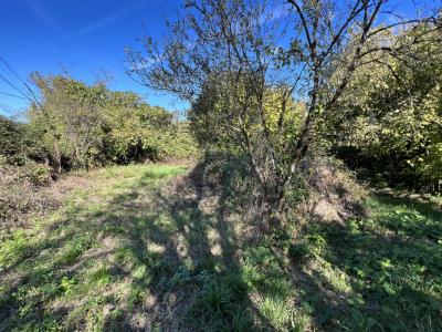 Building Land For Sale