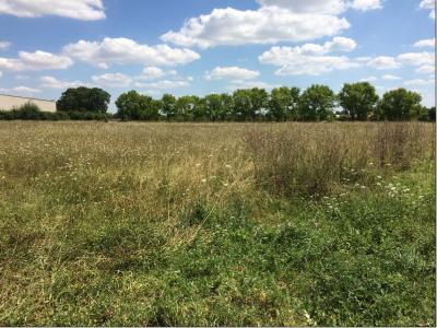 Building Plot Land For Sale