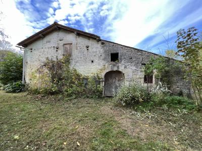 Traditional House to Renovate with Stream