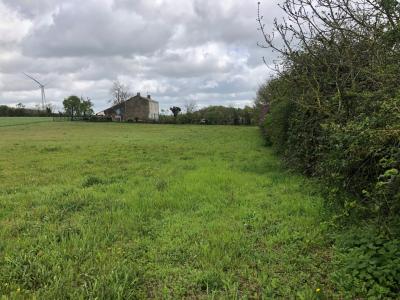 Building Land For Sale