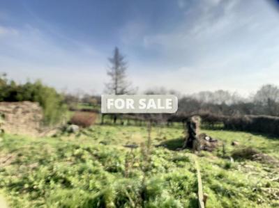 Vast Detached Property with Outbuildings and Land
