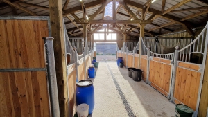 Equestrian Property with Detached Villa and Pool