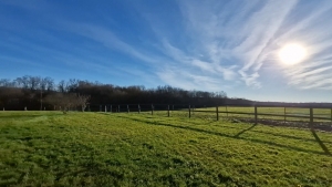 Equestrian Property with Detached Villa and Pool