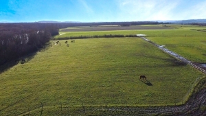 Equestrian Property with Detached Villa and Pool