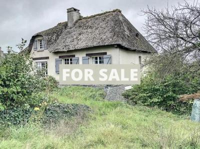 Beautiful Detached Thatched House and Garden