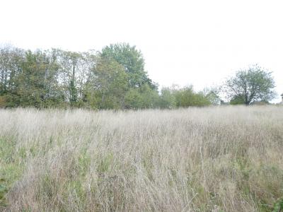 Building Plot For Sale with Planning