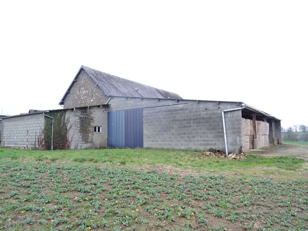 Vast Country House to Renovate