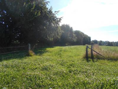 Former Farm House With Outbuildings