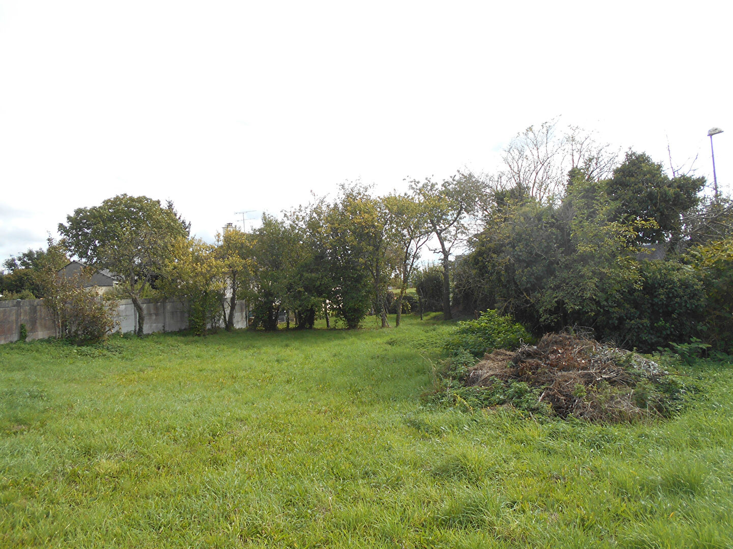 SLD02594 Sold By Cle France