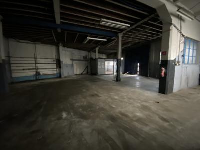 Huge Villa with Garage, Ideal Commercial Location