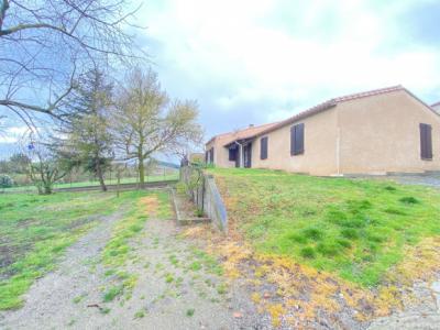 Detached Villa With Garden