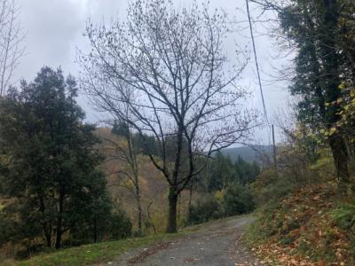 House With Swimming Pool in 13 Hectares