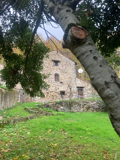 House With Swimming Pool in 13 Hectares