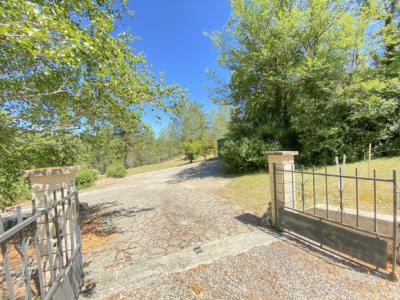 Detached Villa With Swimming Pool Set in 8,000 m2