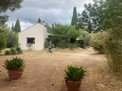 Renovated Character House in A 2.5 Hectare Parkland Gardens