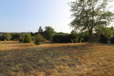Villa with Land plus Swimming Pool And Outbuilding