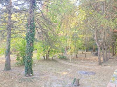 Manor House with Pool in 1.5 Acre Gardens