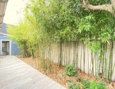 Single Story Villa With Independent Apartment